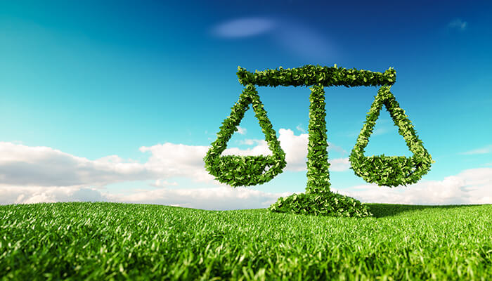Environment Laws